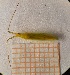  ( - UM-AAOO-177)  @11 [ ] by-nc-sa (2021) Thibaud Decaëns Universite Montpellier, CEFE Lab