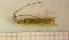 ( - UM-AARR-183)  @11 [ ] by-nc-sa (2021) Thibaud Decaëns Universite Montpellier, CEFE Lab