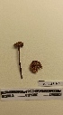  ( - UM-AASS-100)  @11 [ ] by-nc-sa (2021) Thibaud Decaëns Universite Montpellier, CEFE Lab