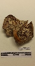  ( - UM-AASS-116)  @11 [ ] by-nc-sa (2021) Thibaud Decaëns Universite Montpellier, CEFE Lab