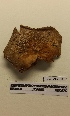  ( - UM-AASS-116)  @11 [ ] by-nc-sa (2021) Thibaud Decaëns Universite Montpellier, CEFE Lab