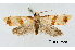  ( - UM_ACPN_00072)  @11 [ ] by-nc-sa (2023) Gérard Labonne Universite Montpellier