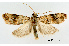  ( - UM_ACPN_00090)  @11 [ ] by-nc-sa (2023) Gérard Labonne Universite Montpellier