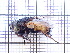 ( - UM_AAAA_00544)  @11 [ ] BY-NC-SA (2022) Maxime Rozier University of Montpellier