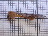 ( - UM_AAAA_00583)  @11 [ ] BY-NC-SA (2022) Maxime Rozier University of Montpellier