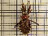  ( - UM_AAAA_00674)  @11 [ ] by-nc-sa (2023) Sebastien J. Puechmaille University of Montpellier