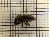  ( - UM_AAAA_00687)  @11 [ ] by-nc-sa (2023) Sebastien J. Puechmaille University of Montpellier
