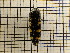  ( - UM_AAAA_00707)  @11 [ ] by-nc-sa (2023) Sebastien J. Puechmaille University of Montpellier