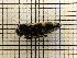  ( - UM_AAAA_00707)  @11 [ ] by-nc-sa (2023) Sebastien J. Puechmaille University of Montpellier
