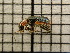  ( - UM_AAAA_00710)  @11 [ ] by-nc-sa (2023) Sebastien J. Puechmaille University of Montpellier
