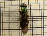  ( - UM_AAAA_00711)  @11 [ ] by-nc-sa (2023) Sebastien J. Puechmaille University of Montpellier