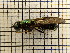  ( - UM_AAAA_00711)  @11 [ ] by-nc-sa (2023) Sebastien J. Puechmaille University of Montpellier