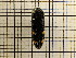  ( - UM_AAAA_00724)  @11 [ ] by-nc-sa (2023) Sebastien J. Puechmaille University of Montpellier