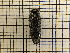  ( - UM_AAAA_00724)  @11 [ ] by-nc-sa (2023) Sebastien J. Puechmaille University of Montpellier