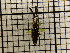  ( - UM_AAAA_00730)  @11 [ ] by-nc-sa (2023) Sebastien J. Puechmaille University of Montpellier