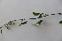  ( - UM_ABTS_00091)  @11 [ ] by-nc-sa (2022) Colliot Ilona Universite Montpellier