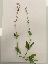  ( - UM_ACAZ_0142)  @11 [ ] by-nc-sa (2022) AurÃ©lien Caries Universite Montpellier