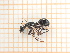  ( - UM_ACTR_0281)  @11 [ ] by-nc-sa (2023) Thibaud Decaëns Universite Montpellier