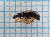  ( - UM_ACSQ_0149)  @11 [ ] by-nc-sa (2023) Thibaud Decaëns Universite Montpellier