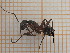  ( - UM_ACWU_0254)  @11 [ ] by-nc-sa (2023) Thibaud Decaëns Universite Montpellier