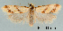  ( - UM_ACPN_00204)  @11 [ ] CreativeCommons - Attribution Non-Commercial No Derivatives (2023) Gerard Labonne Universite Montpellier 2, Institut des Sciences de l'Evolution