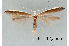  ( - UM_ACPN_00208)  @11 [ ] by-nc-sa (2023) Fabre Pierre-Henri Universite Montpellier