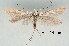  ( - UM_ACPN_00213)  @11 [ ] by-nc-sa (2023) Fabre Pierre-Henri Universite Montpellier