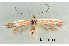  ( - UM_ACPN_00216)  @11 [ ] by-nc-sa (2023) Fabre Pierre-Henri Universite Montpellier