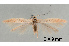  ( - UM_ACPN_00222)  @11 [ ] by-nc-sa (2023) Fabre Pierre-Henri Universite Montpellier