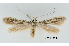  ( - UM_ACPN_00226)  @11 [ ] by-nc-sa (2023) Fabre Pierre-Henri Universite Montpellier