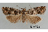  ( - UM_ACPN_00236)  @11 [ ] by-nc-sa (2023) Fabre Pierre-Henri Universite Montpellier
