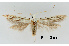  ( - UM_ACPN_00240)  @11 [ ] by-nc-sa (2023) Fabre Pierre-Henri Universite Montpellier