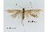  ( - UM_ACPN_00246)  @11 [ ] by-nc-sa (2023) Fabre Pierre-Henri Universite Montpellier