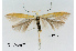  ( - UM_ACPN_00248)  @11 [ ] by-nc-sa (2023) Fabre Pierre-Henri Universite Montpellier