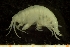 ( - BGE_00238_E09)  @11 [ ] Creative Commons BY-SA (2025) University of Bergen Natural History Collections