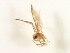  ( - RBCAD-2177)  @11 [ ] CreativeCommons - Attribution (2009) Unspecified Centre for Biodiversity Genomics