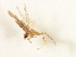  ( - RBCAD-2178)  @11 [ ] CreativeCommons - Attribution (2009) Unspecified Centre for Biodiversity Genomics