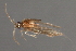  ( - RBCAD-1781)  @11 [ ] CreativeCommons - Attribution (2008) Unspecified Centre for Biodiversity Genomics