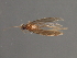  ( - RBCAD-1782)  @13 [ ] CreativeCommons - Attribution (2008) Unspecified Centre for Biodiversity Genomics