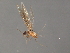  ( - RBCAD-1784)  @11 [ ] CreativeCommons - Attribution (2008) Unspecified Centre for Biodiversity Genomics
