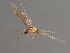  ( - RBCAD-1786)  @11 [ ] CreativeCommons - Attribution (2008) Unspecified Centre for Biodiversity Genomics