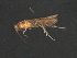  ( - RBCAD-1983)  @13 [ ] CreativeCommons - Attribution (2009) Unspecified Centre for Biodiversity Genomics