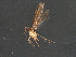  ( - RBCAD-1993)  @12 [ ] CreativeCommons - Attribution (2009) Unspecified Centre for Biodiversity Genomics