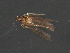  ( - RBCAD-1994)  @12 [ ] CreativeCommons - Attribution (2009) Unspecified Centre for Biodiversity Genomics