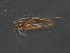  ( - RBCAD-1995)  @13 [ ] CreativeCommons - Attribution (2009) Unspecified Centre for Biodiversity Genomics