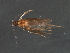  ( - RBCAD-1996)  @13 [ ] CreativeCommons - Attribution (2009) Unspecified Centre for Biodiversity Genomics