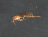  ( - RBCAD-1998)  @11 [ ] CreativeCommons - Attribution (2009) Unspecified Centre for Biodiversity Genomics