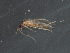  ( - RBCAD-2017)  @13 [ ] CreativeCommons - Attribution (2009) Unspecified Centre for Biodiversity Genomics