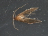  ( - RBCAD-2018)  @11 [ ] CreativeCommons - Attribution (2009) Unspecified Centre for Biodiversity Genomics