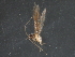  ( - RBCAD-2019)  @11 [ ] CreativeCommons - Attribution (2009) Unspecified Centre for Biodiversity Genomics